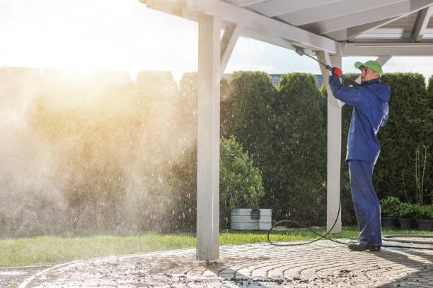 Best Gutter Cleaning and Brightening in Peshtigo, WI
